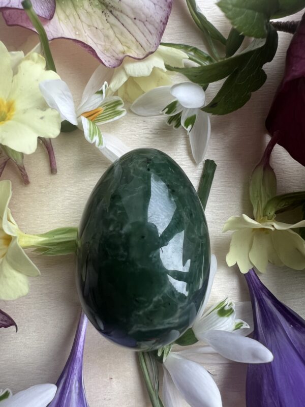 NEW...Polar Jade Egg - Image 2