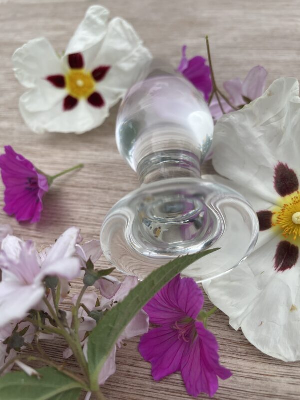 Rosebud Anal Delight - Image 3